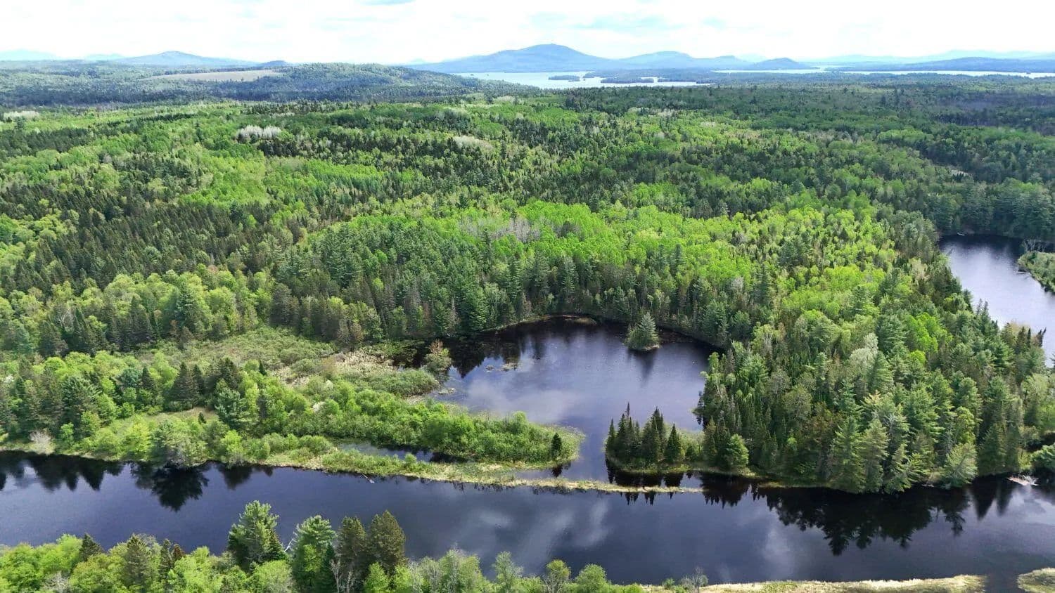 80 Acres of Land for Sale in Eustis, Maine - Eustis, Maine, 04936