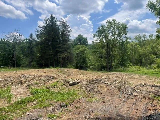 Land for Sale in Middletown, New York - Middletown, New York, 10940