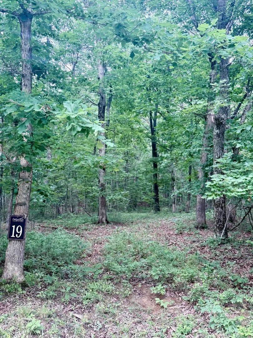 5.05 Acres of Land for Sale in Sewanee, Tennessee - Sewanee, Tennessee, 37375