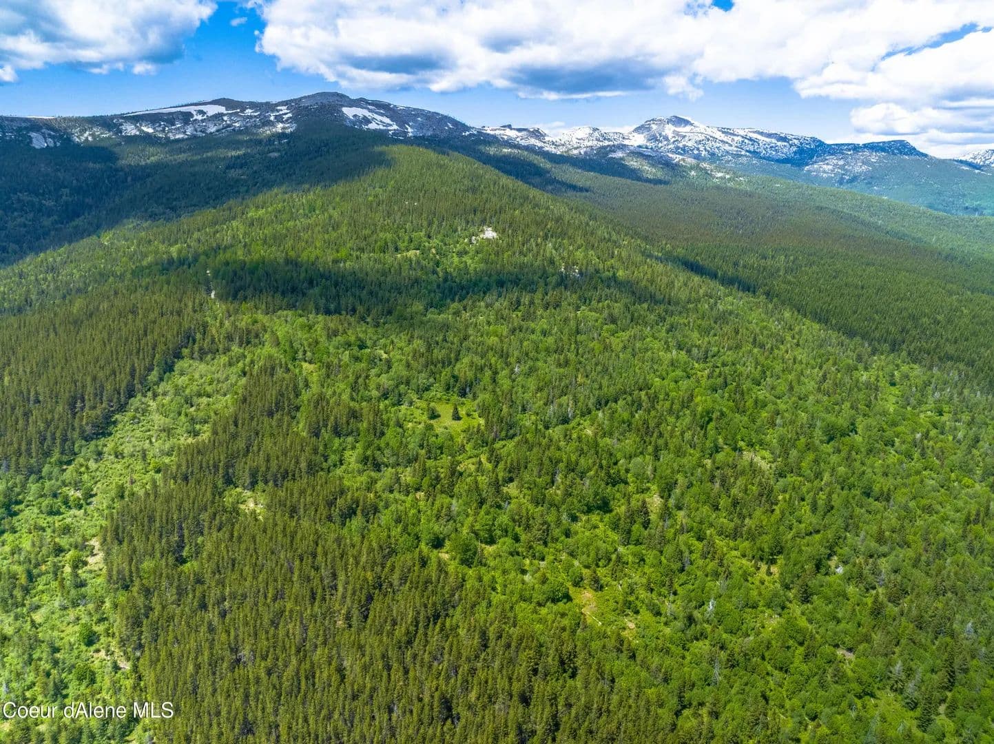 160 Acres of Land for Sale in Sandpoint, ID - Sandpoint, Idaho, 83864