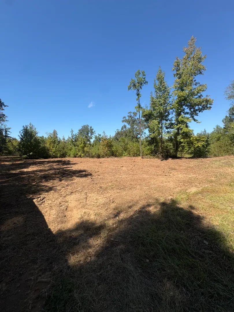 56 Acres in Kemper County, MS  - De Kalb, Mississippi, 39328