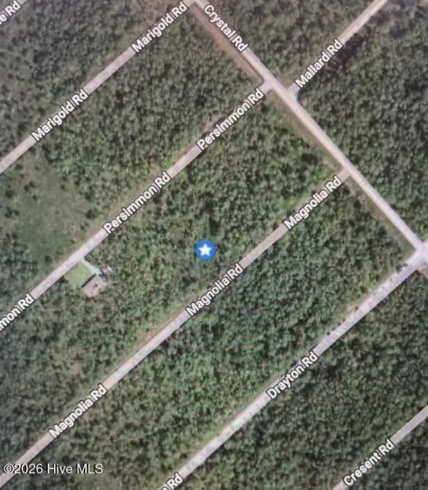 Vacant Land in Boiling Spring Lakes - Boiling Spring Lakes, North Carolina, 28461