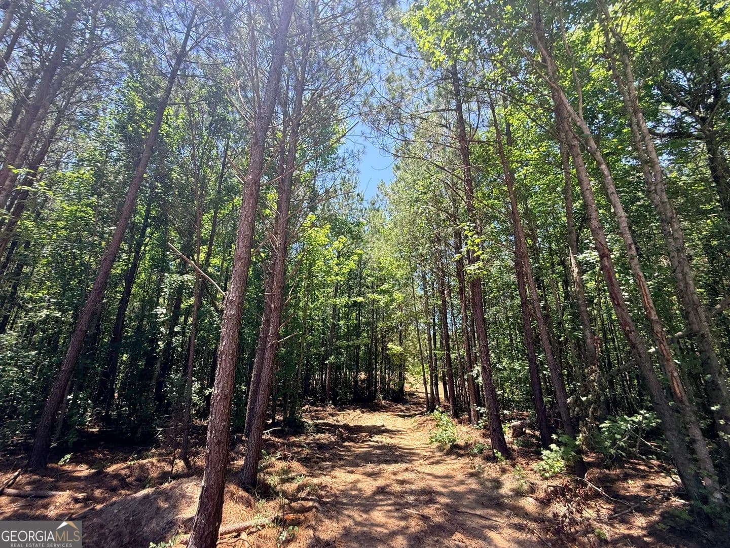 Property from 2815 Cedar Creek rd - KW - Elberton, Georgia, 30635