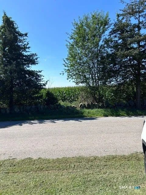 Lots & Land-Other in Putnam - Putnam, Connecticut, 06260