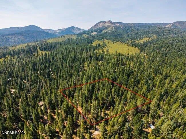 Vacant Land in Johnsville - Johnsville, California, 96103