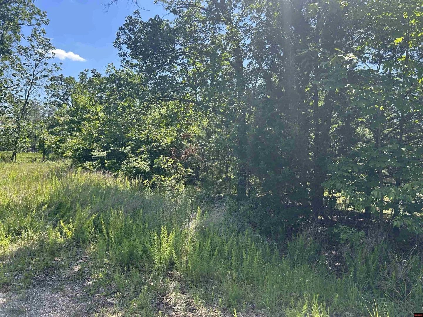 Lots & Land-Other in Mountain Home - Mountain Home, Arkansas, 72653