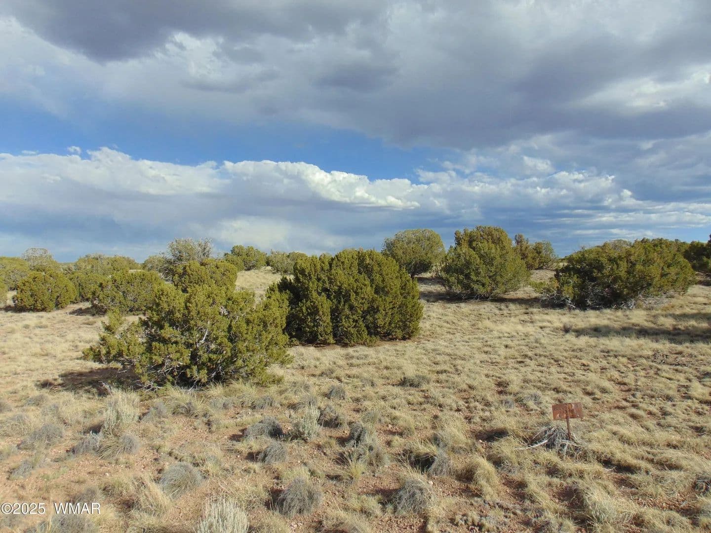 Vacant Land in Concho - Concho, Arizona, 85924