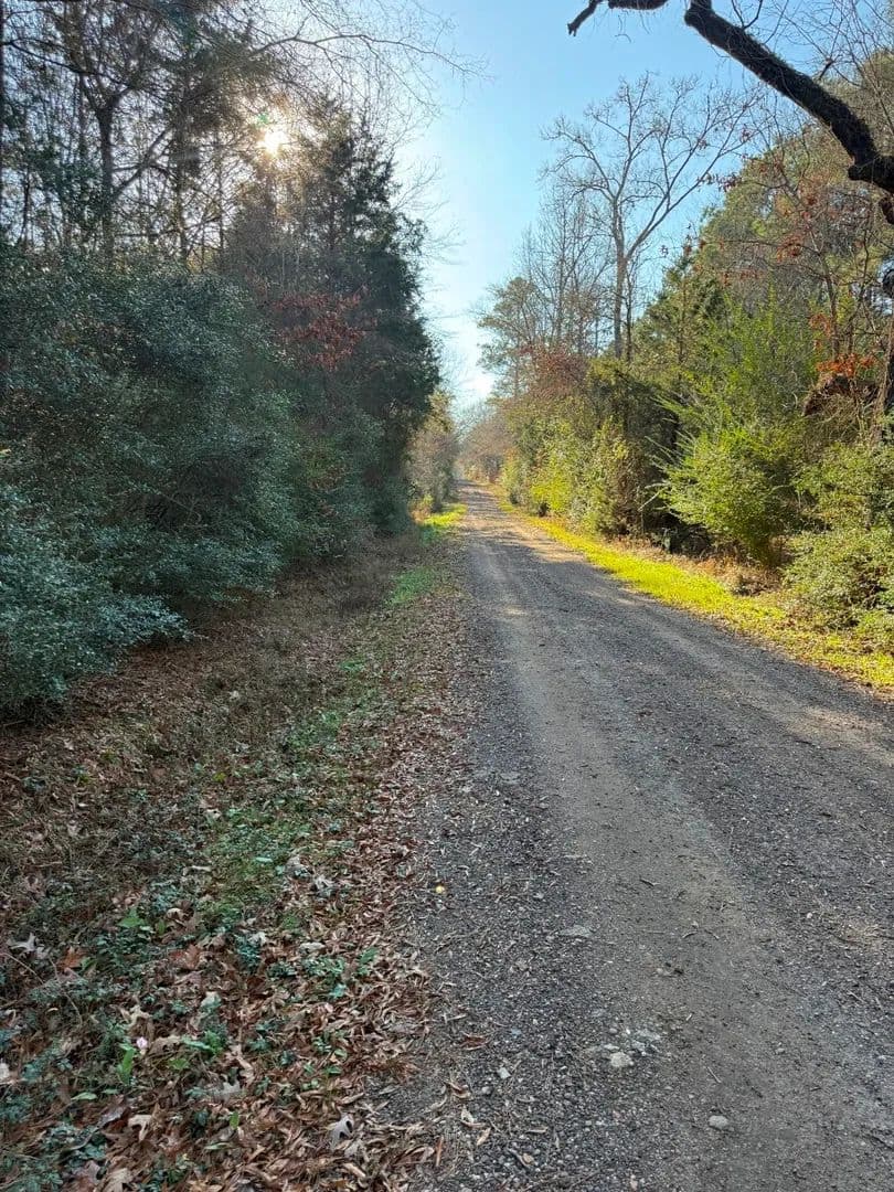 29.74 Acres of Land for Sale in Beckville, TX - Beckville, Texas, 75631
