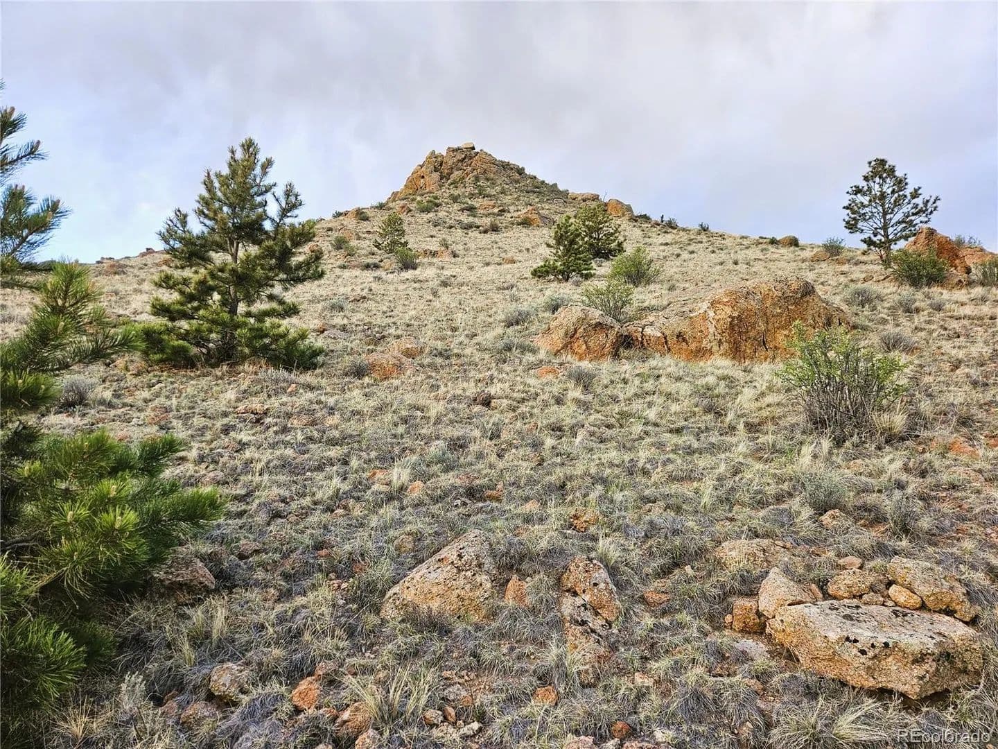 12.35 Acres of Land for Sale in Hartsel, Colorado - Hartsel, Colorado, 80449