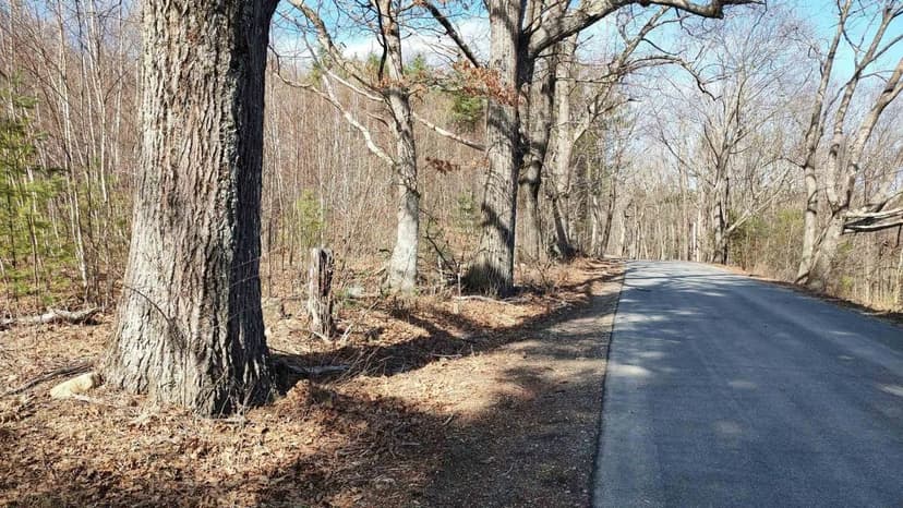 Vacant Land in New Boston