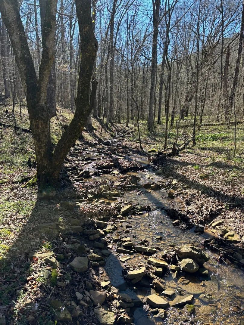 Hunters Dream 49+/- AC Dekalb Co