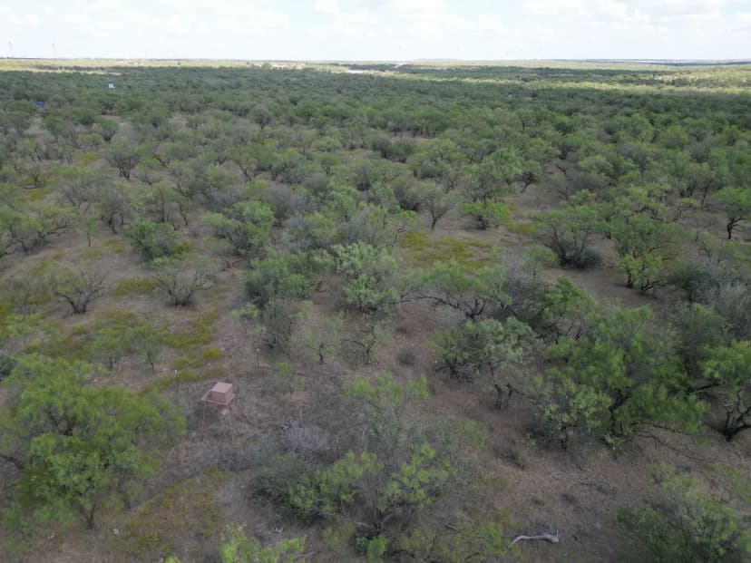 PRICE IMPROVEMENT!! 20 +/- Ac TBD CR 100, Callahan County