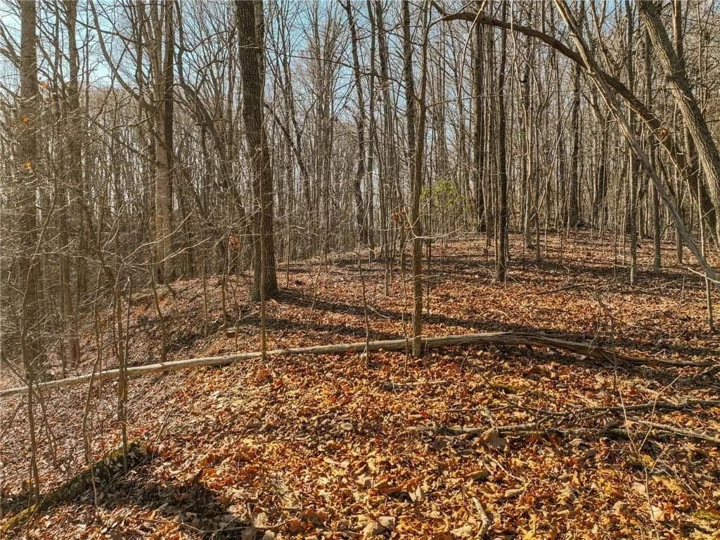 3.5 Acres of Land for Sale in Murrayville, GA - Murrayville, Georgia, 30564