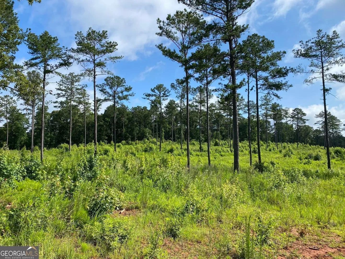 Lots & Land-Other in Forsyth - land for sale