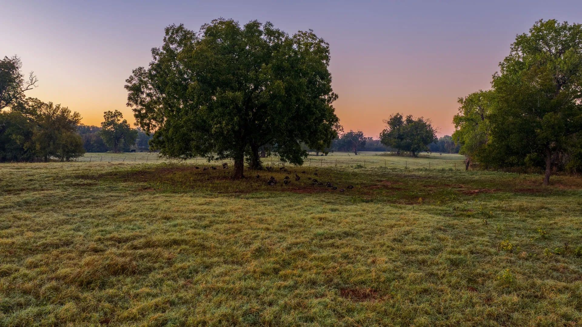 Rennhack Ranch - Millsap, Texas, 76066