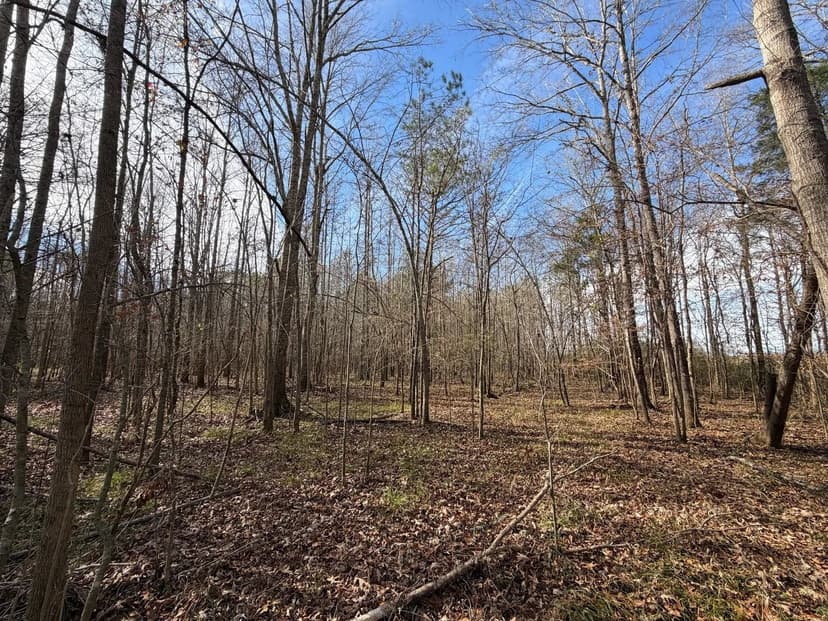 22 Acres Bottomland Hardwood Tract - Letohatchee, AL