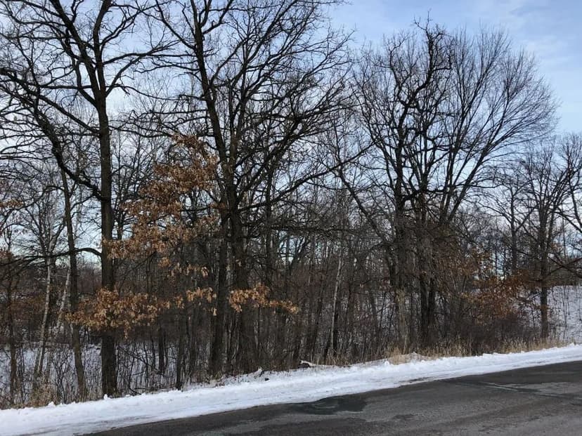 Property from xxx Watson Street NW - KW