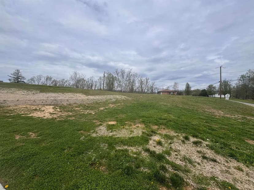 Lots & Land-Other in Ona