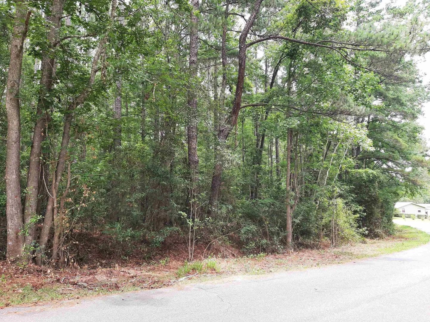 Property from Spring Hollow Drive - KW - Monticello, Florida, 32344