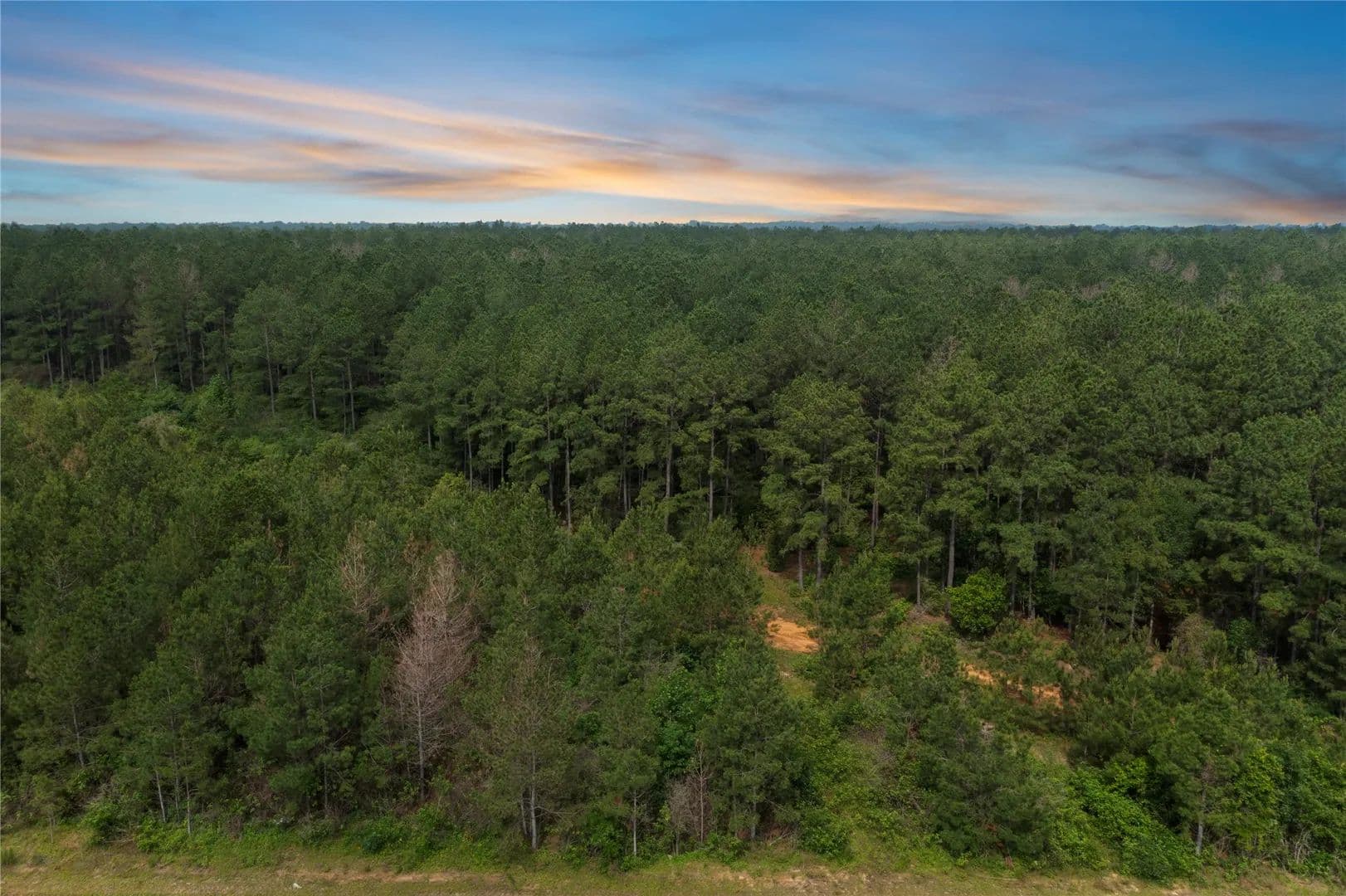 Vacant Land in Willis - Willis, Texas, 77378