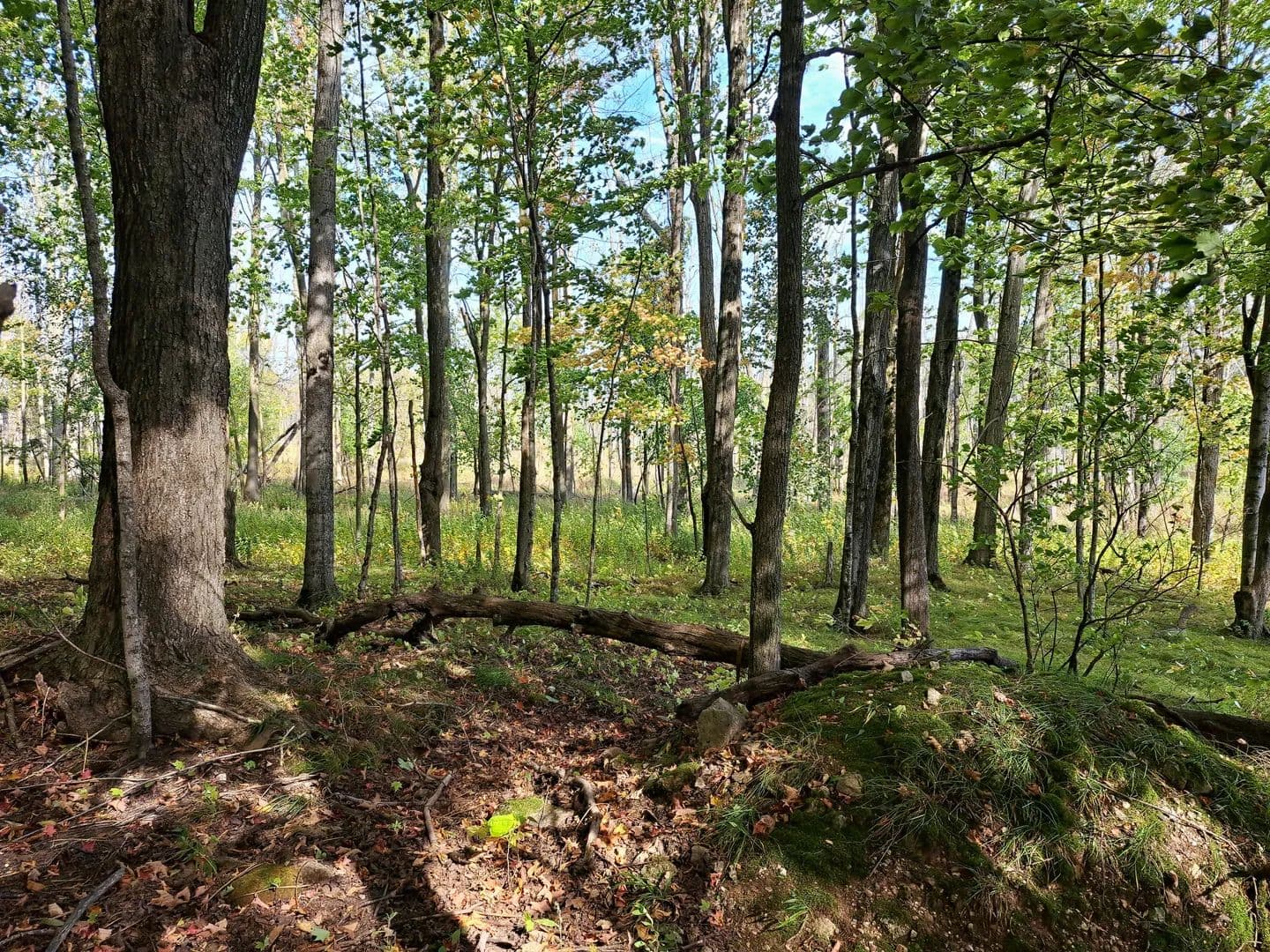 Vacant Land (10+ Acres) in Sturgeon Bay - Sturgeon Bay, Wisconsin, 54235