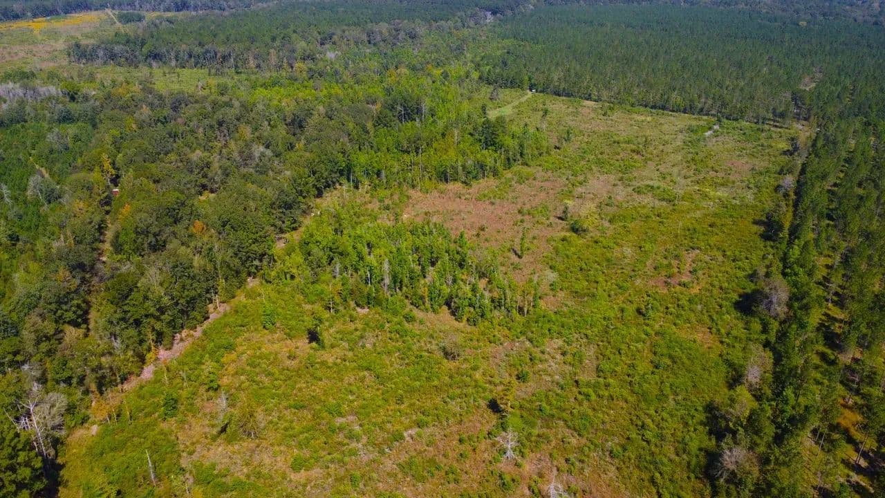 42 Acres Rogers Road Marion County - Columbia, Mississippi, 39429