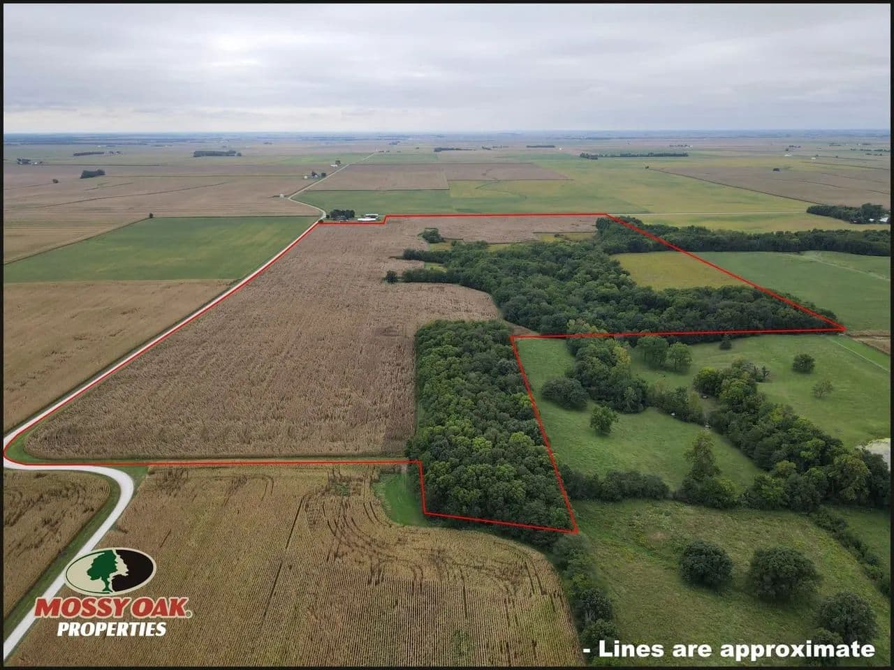 Vermilion County Illinois Hunting Lease - Sidell, Illinois, 61876