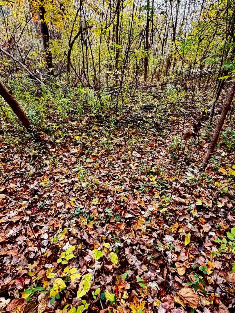 Property from lot 302 Hilcrest/Helen DR. - KW