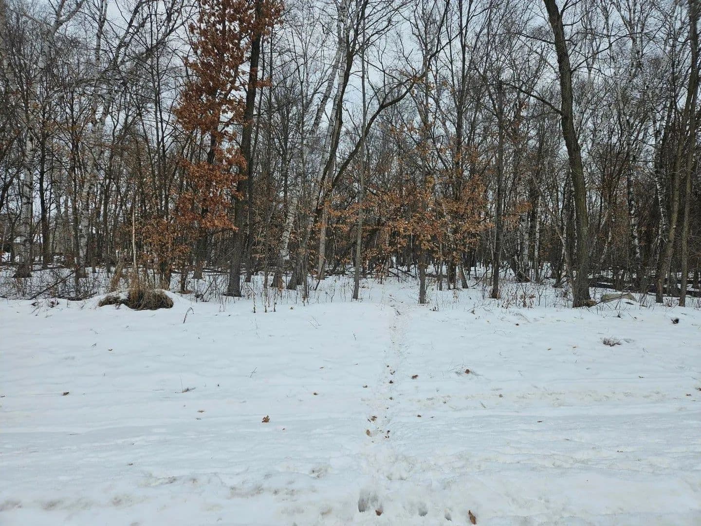 Lots & Land-Other in Saint Stephen - Saint Stephen, Minnesota, 56375