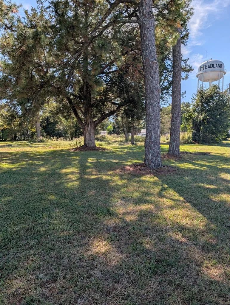 Property from 13 & 15 Broad - KW