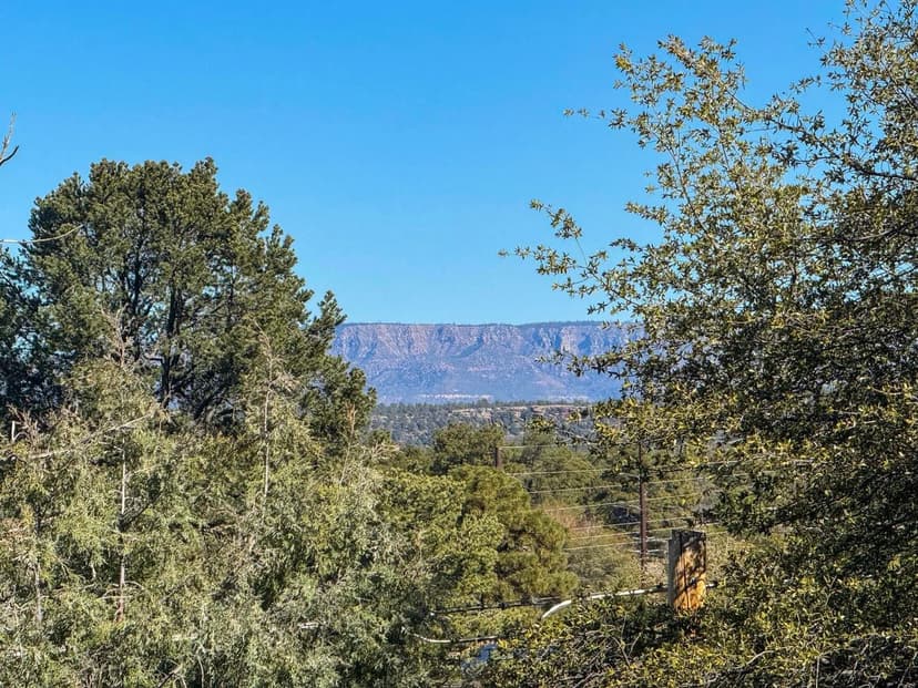 Lots & Land-Other in Payson