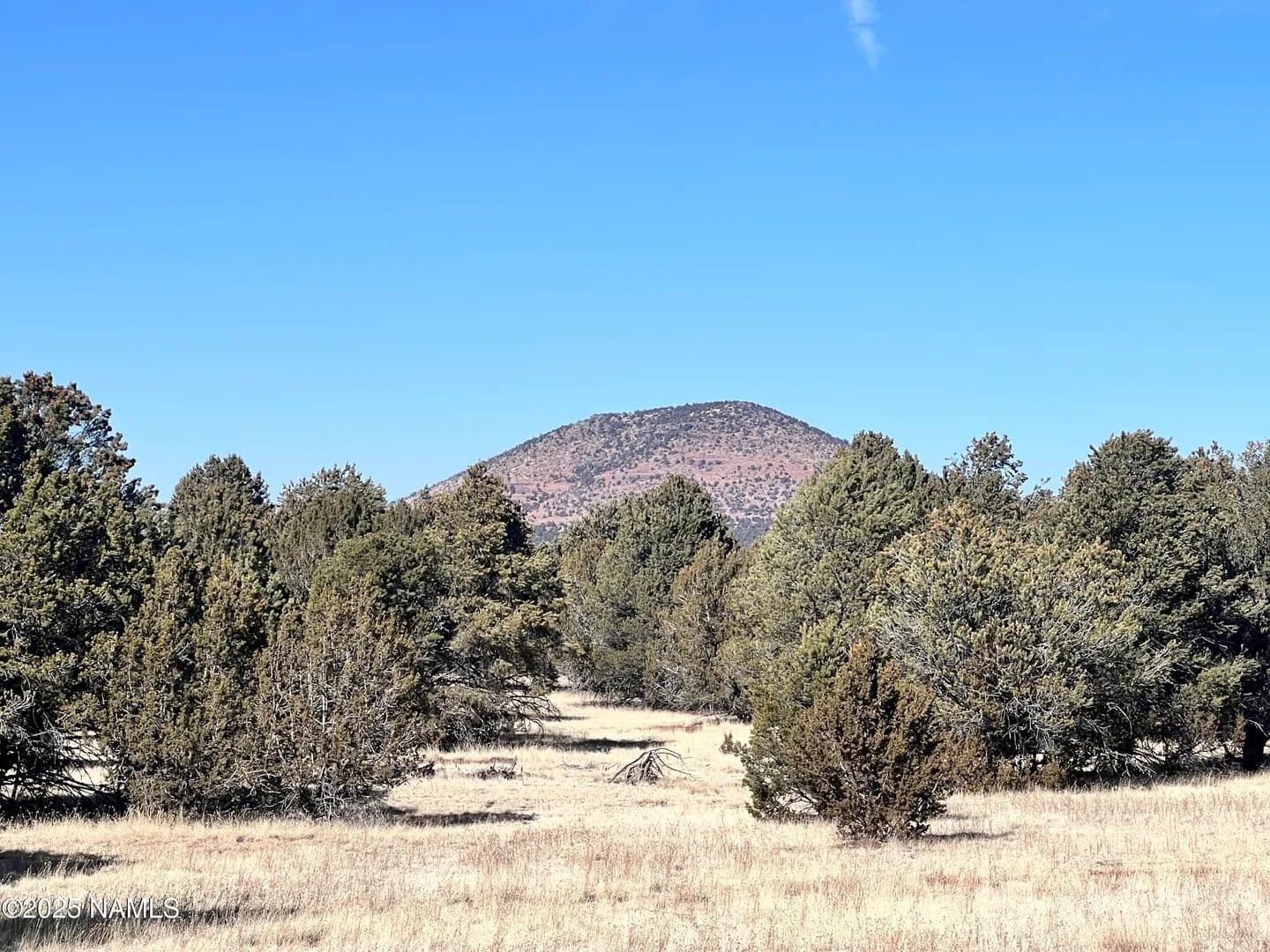 Lots & Land-Other in Williams - Williams, Arizona, 86046