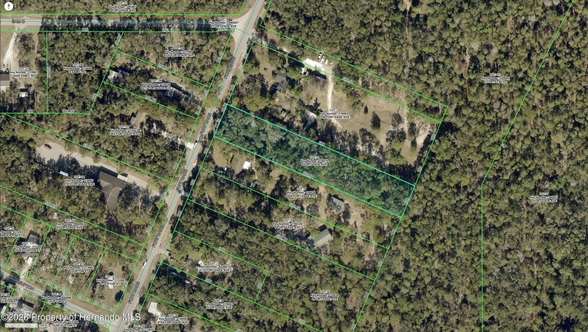 1.37 Acres of Land for Sale in Brooksville, FL - Brooksville, Florida, 34601