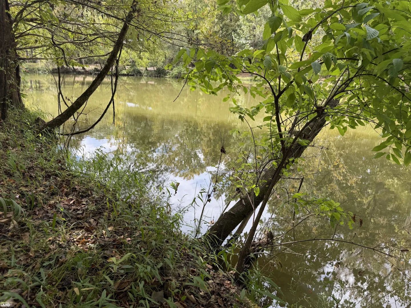 Dallas County Waterfront Lot - land for sale
