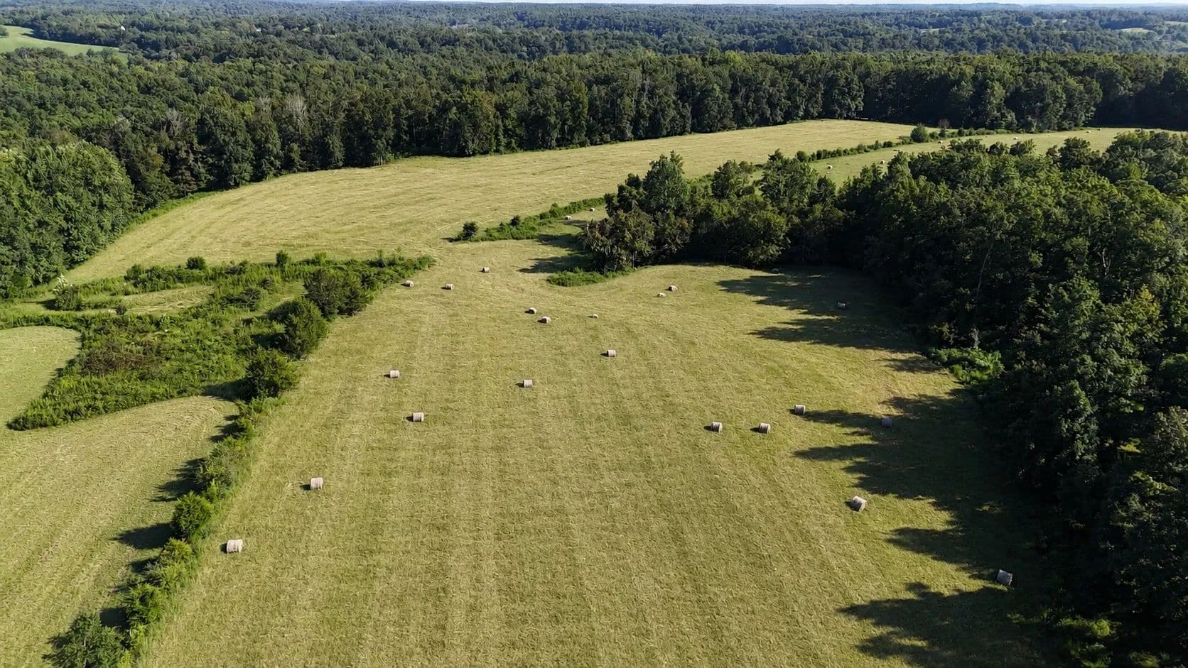 63.04 Acres of Land for Sale in Primm Springs, TN - Primm Springs, Tennessee, 38476