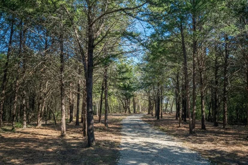 119+ acres with beautiful hardwoods and trails