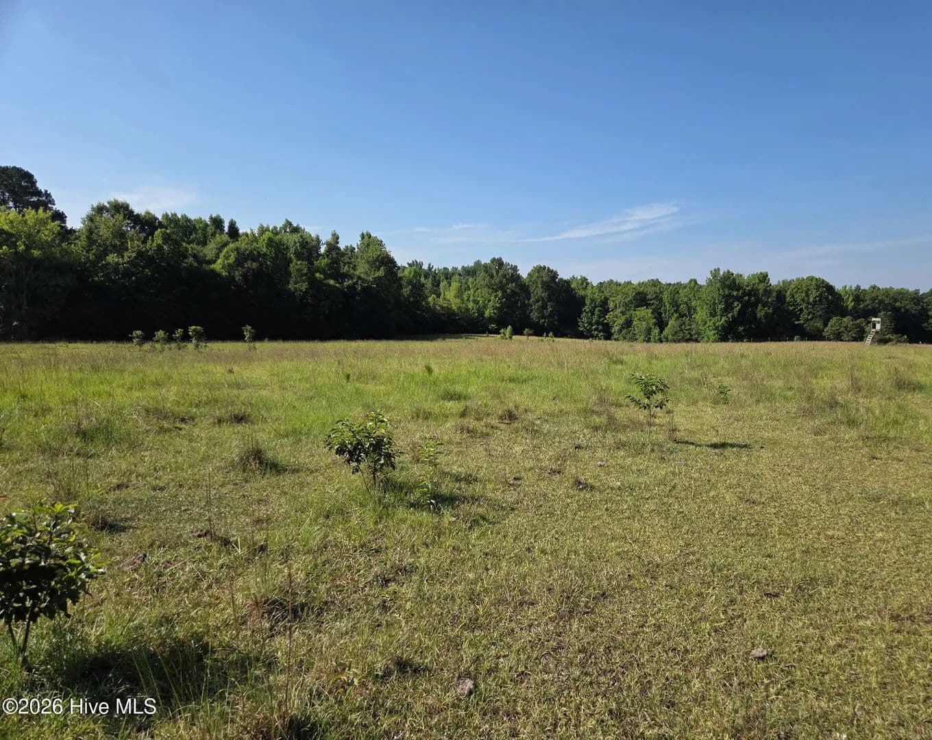 Lots & Land-Other in Norwood - Norwood, Georgia, 30821