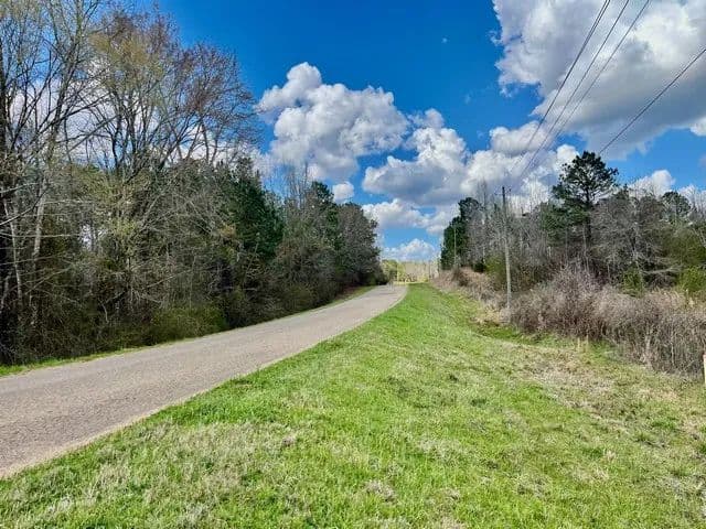 Vacant Land (10+ Acres) in Eclectic - land for sale