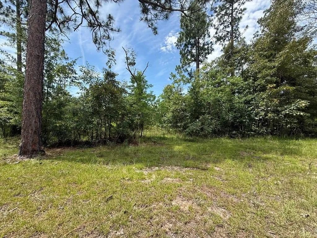 Lots & Land-Other in Donalsonville - Donalsonville, Georgia, 39845