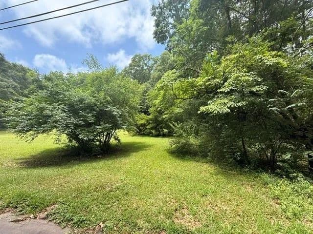 Vacant Land in Griffin - Griffin, Georgia, 30224