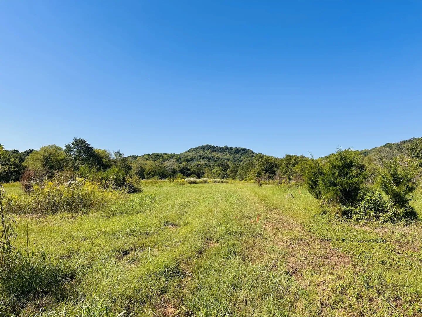 Lots & Land-Other in Readyville - Readyville, Tennessee, 37149