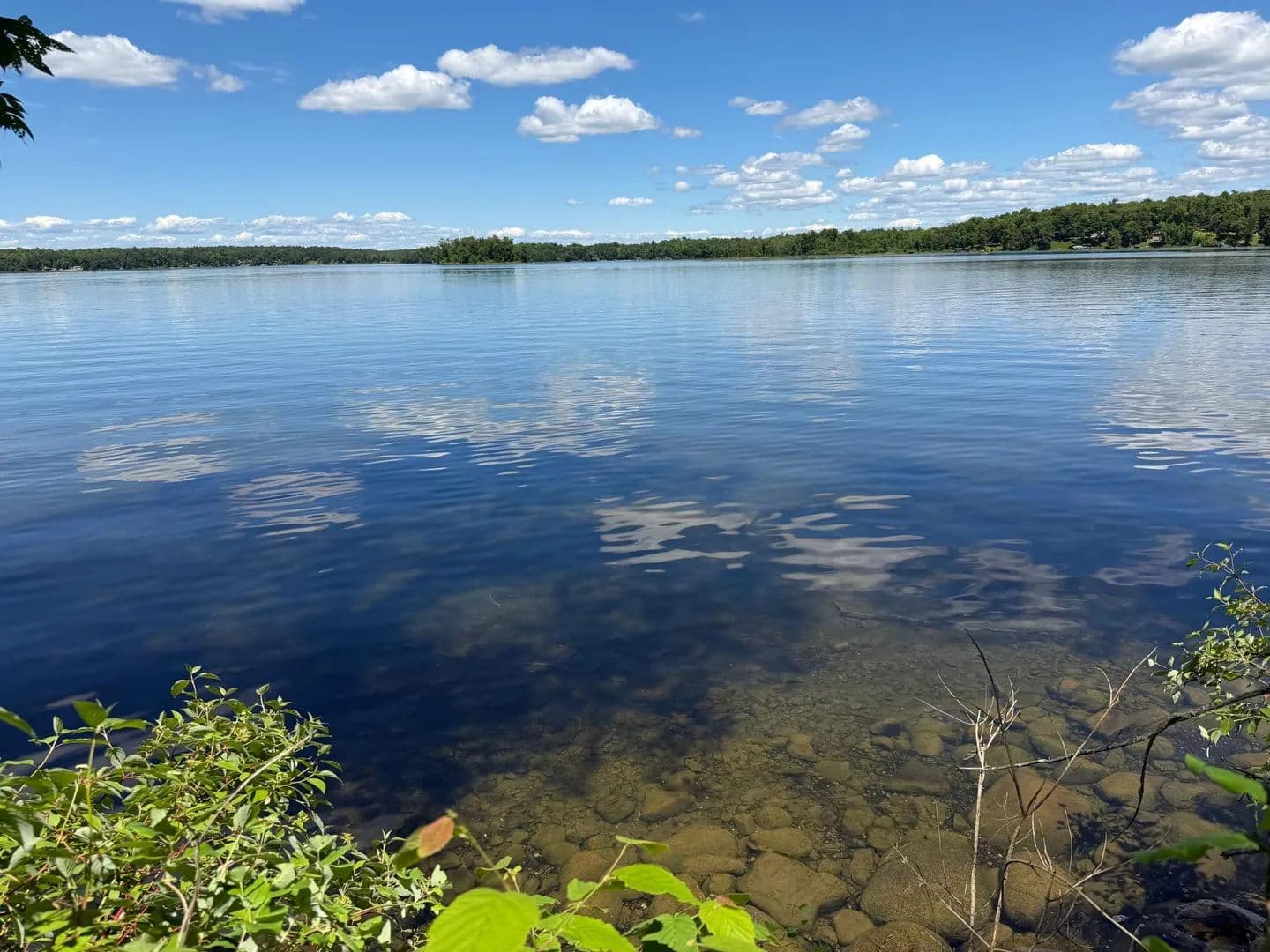 1.39 Acres of Land for Sale in Longville, MN - land for sale