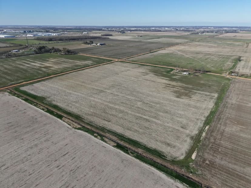 LAND AUCTION – NORTHEAST ARKANSAS