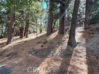Vacant Land in Running Springs - Running Springs, California, 92382