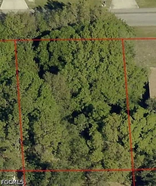 Vacant Land in Lehigh Acres - land for sale