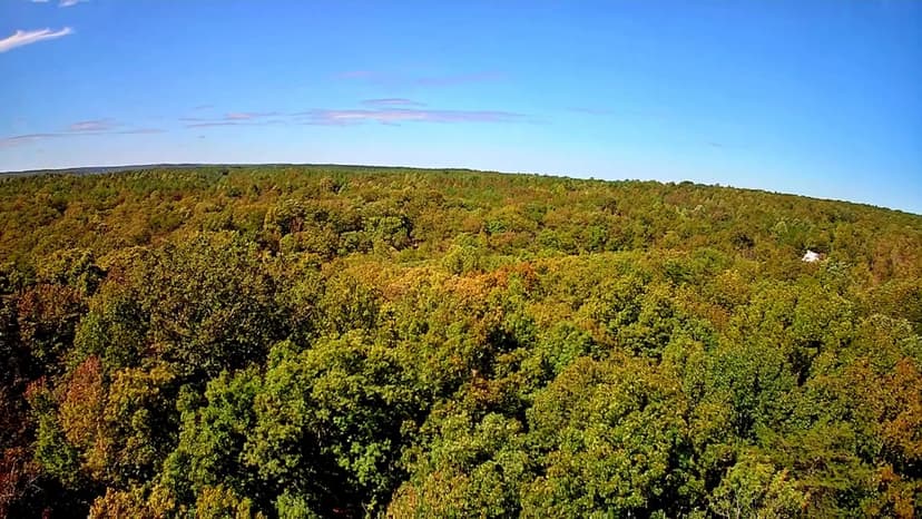 Property from 0 Ridge Wood Lane #431 - KW