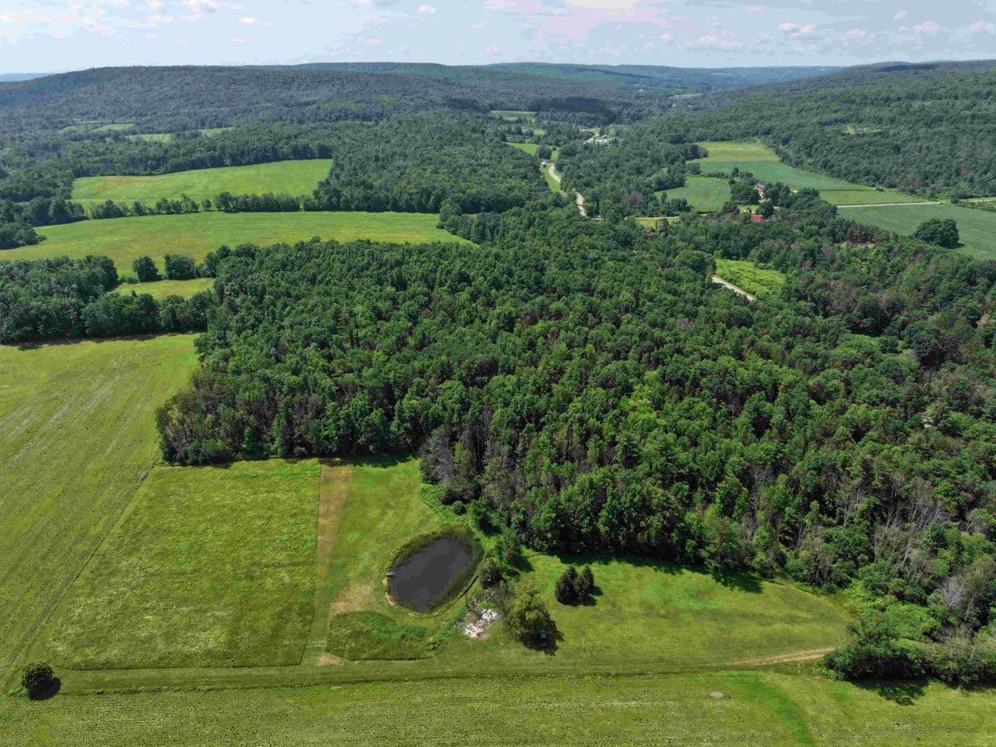 5 acre Building Lot and Recreational Land with Camp, Pond and Owner Financing in Belfast NY CR 17 Lot 9 - Belfast, New York, 14711