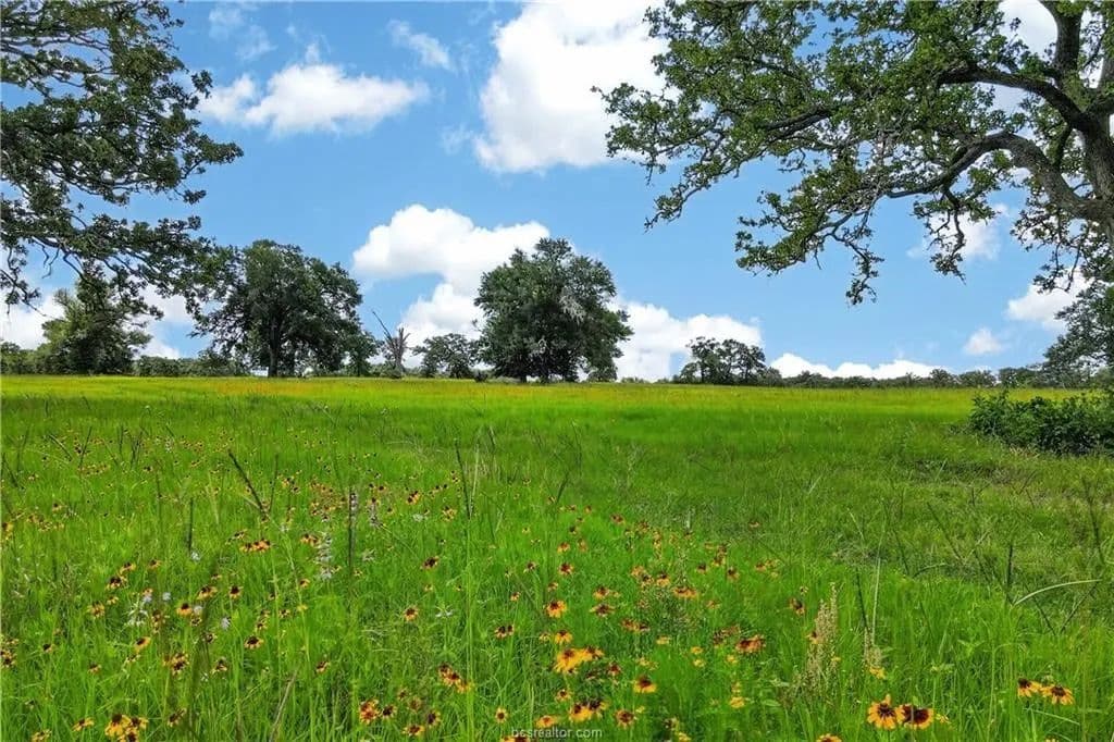 Vacant Land in Caldwell - Caldwell, Texas, 77836