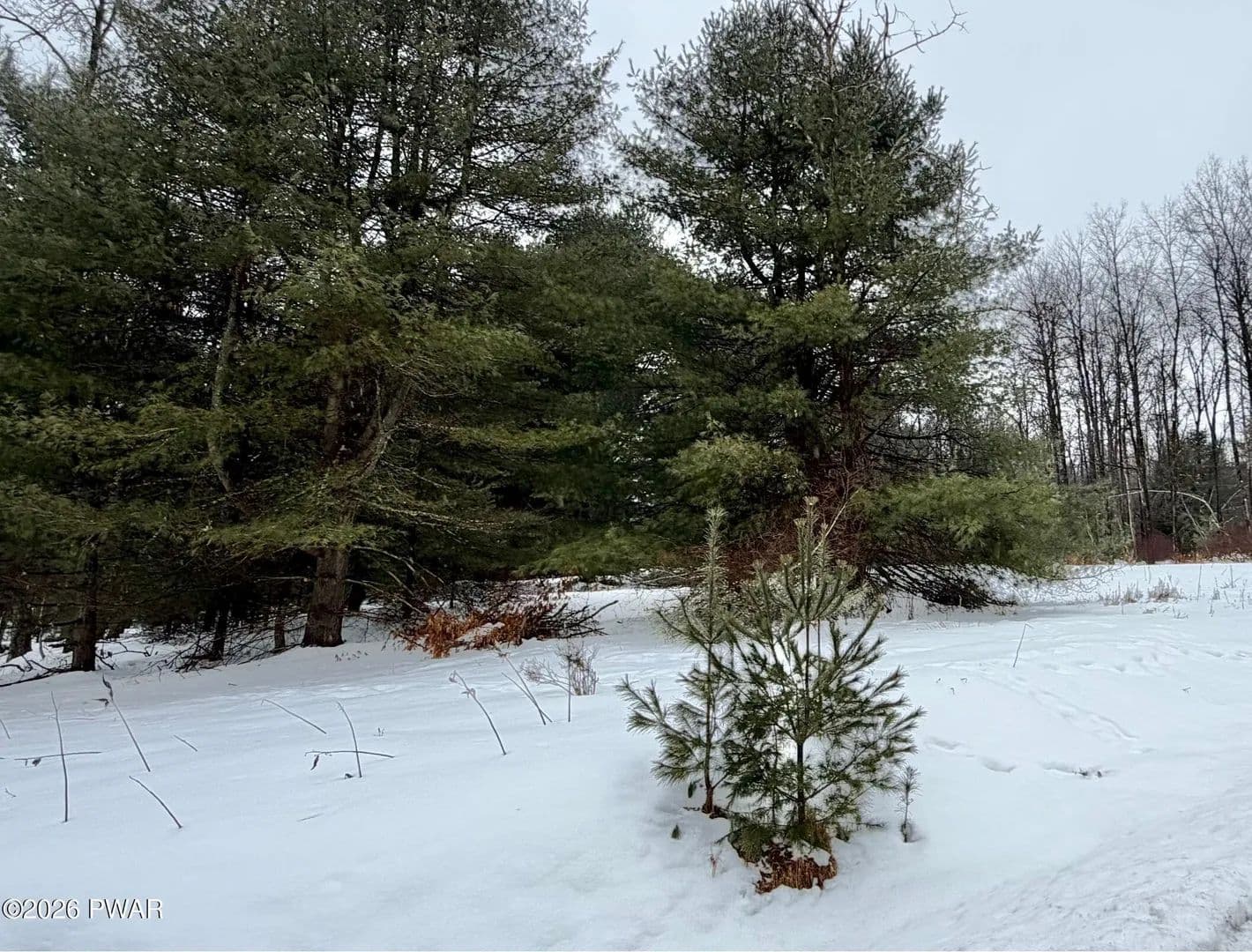 Lots & Land-Other in Hawley - Hawley, Pennsylvania, 18428