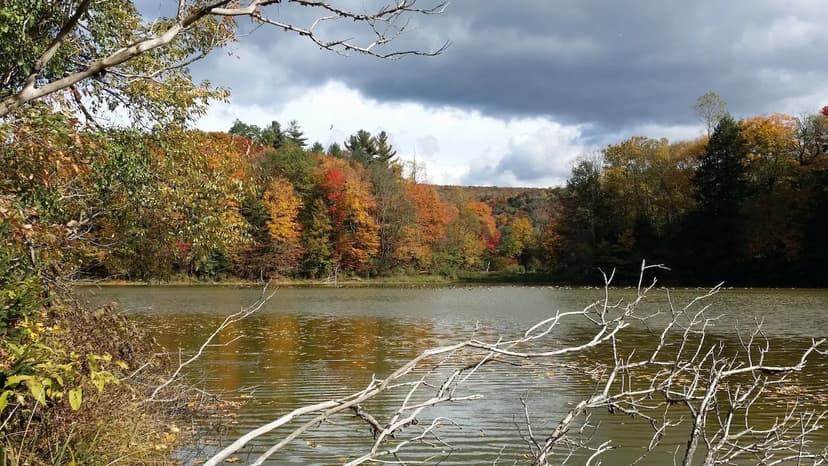164 acres Recreational Retreat with Cottages, Buildings, Trails and Pond in Deruyter NY 1720 County Road 12